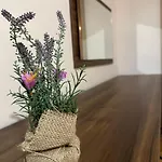 комплекс божидарица Guest house *