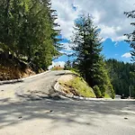 комплекс божидарица *