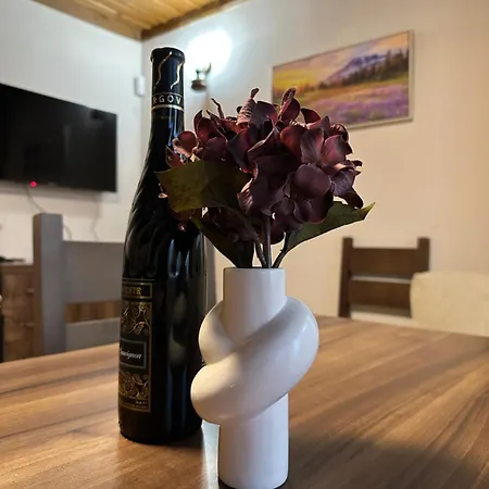 Guest house комплекс божидарица Progled