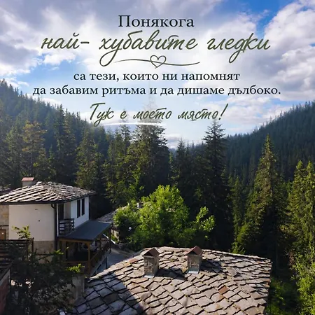 комплекс божидарица