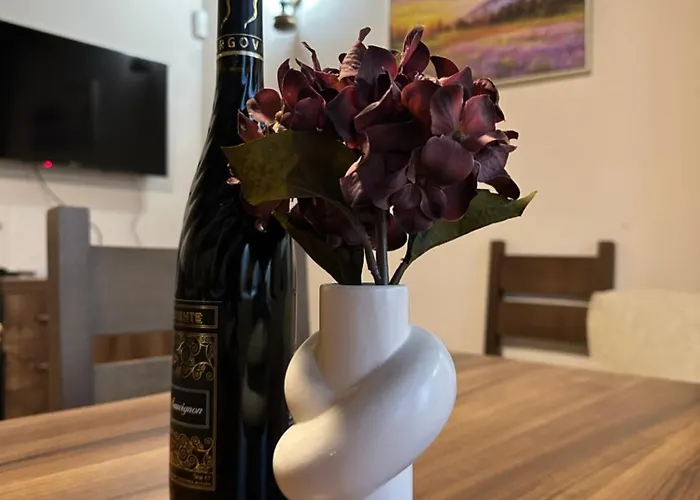 ゲストハウス комплекс божидарица Progled