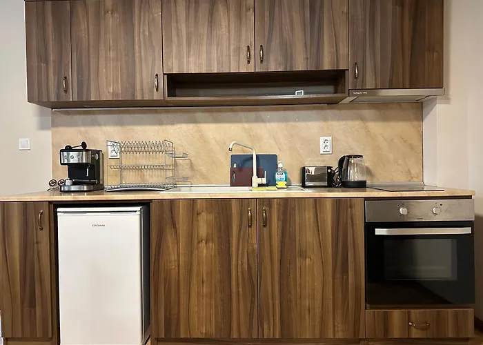 комплекс божидарица ゲストハウス Progled