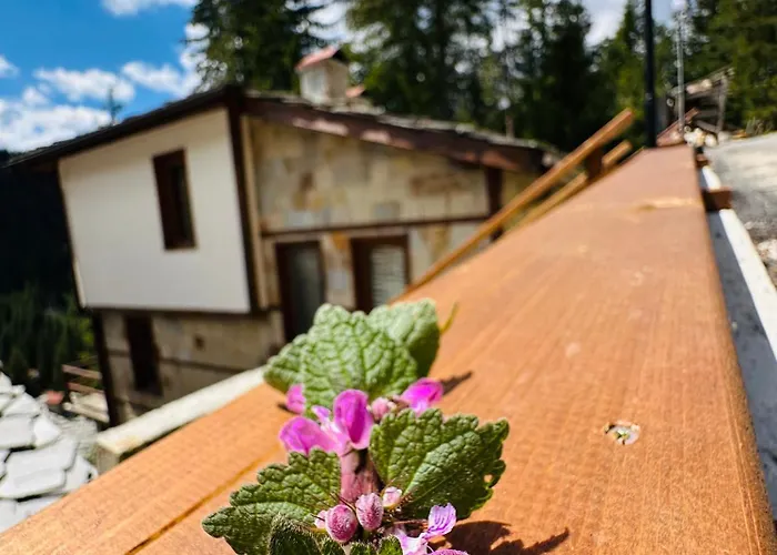 комплекс божидарица