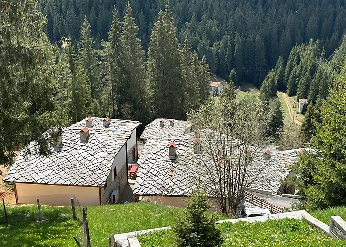 комплекс божидарица ゲストハウス