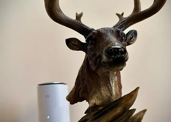 ゲストハウス комплекс божидарица