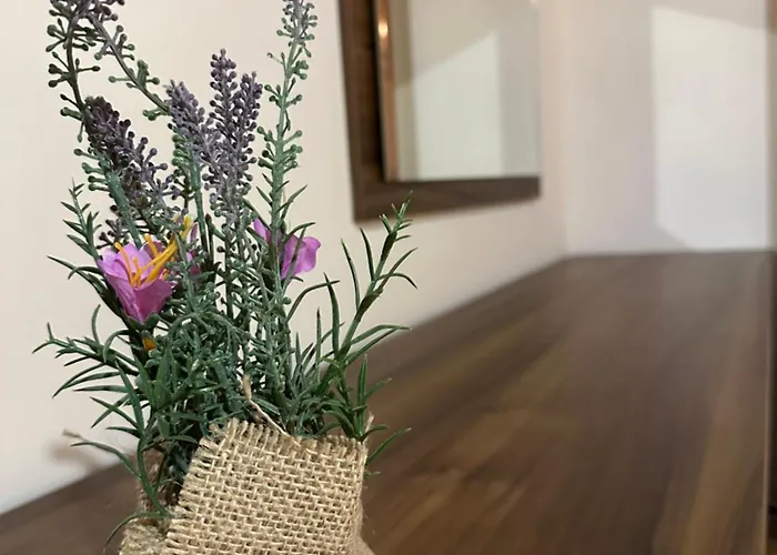 комплекс божидарица ゲストハウス *