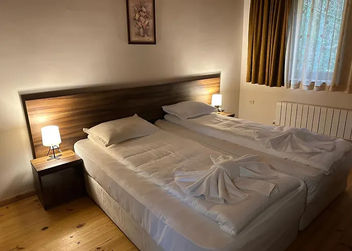 комплекс божидарица ゲストハウス *