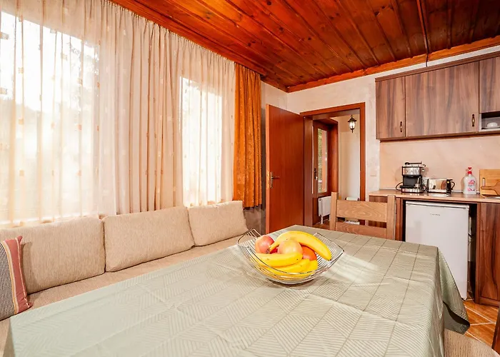 ゲストハウス комплекс божидарица *