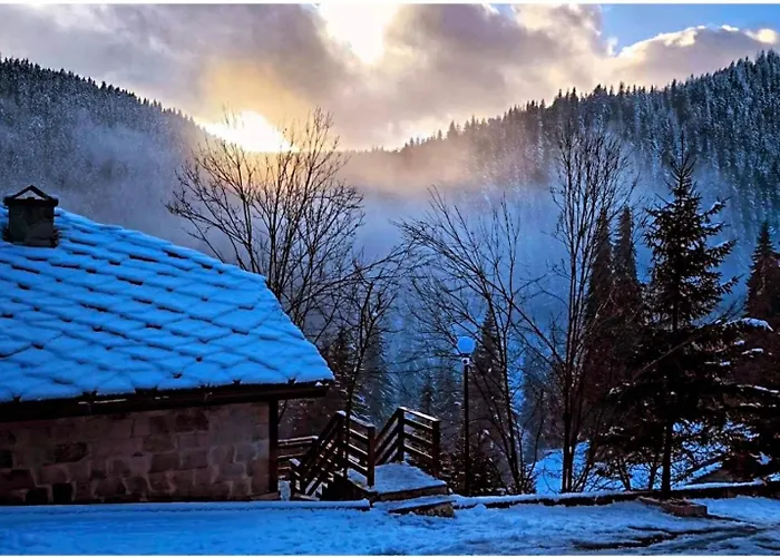 ゲストハウス комплекс божидарица *